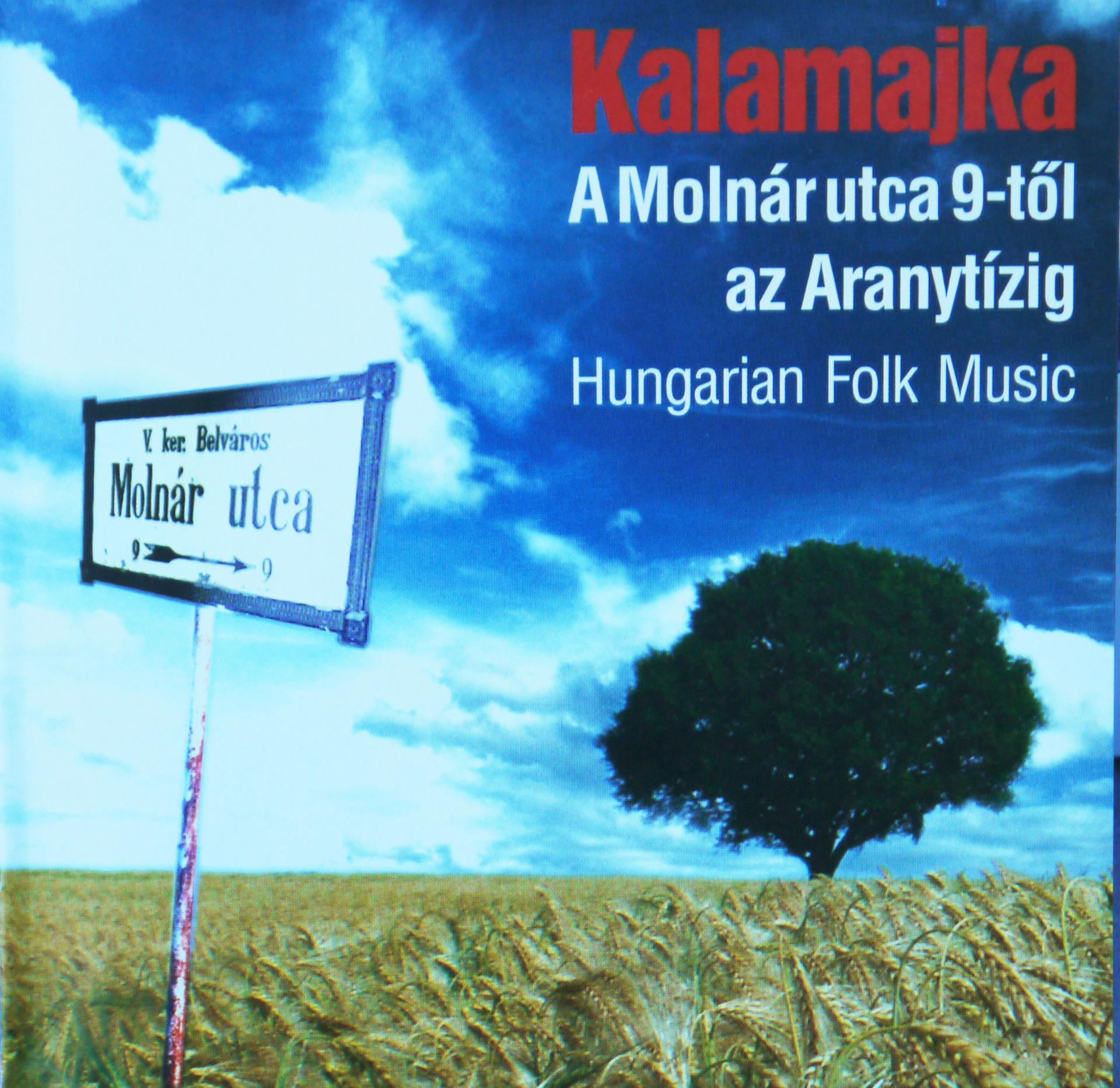 Felvétel, keverés, mastering galéria kép