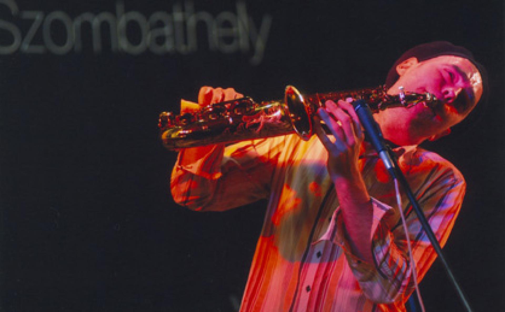 Lamantin, Szombathely galéria kép