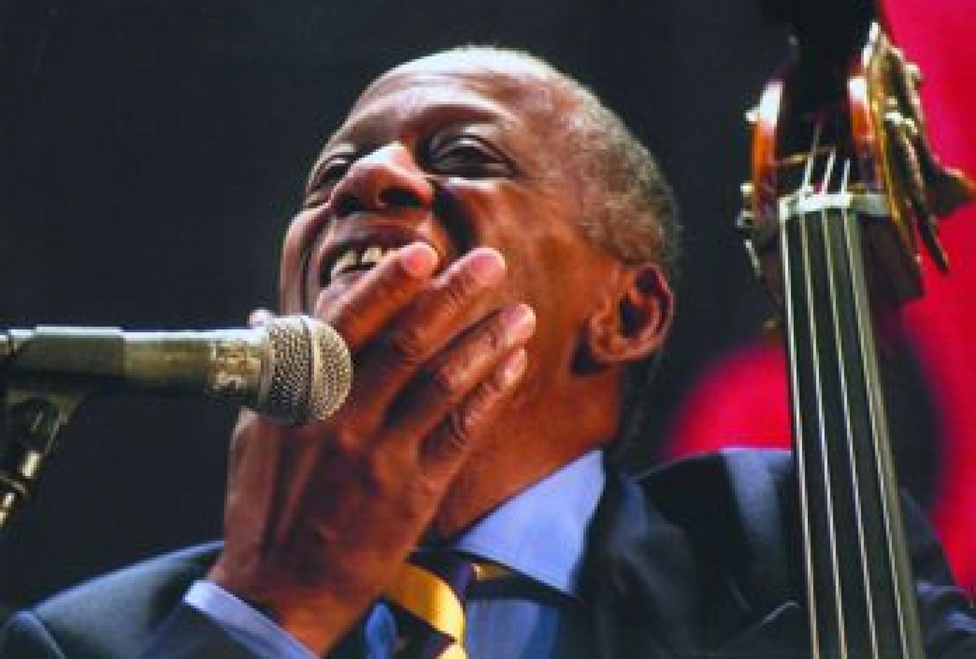 Lamantin, Szombathely galéria kép