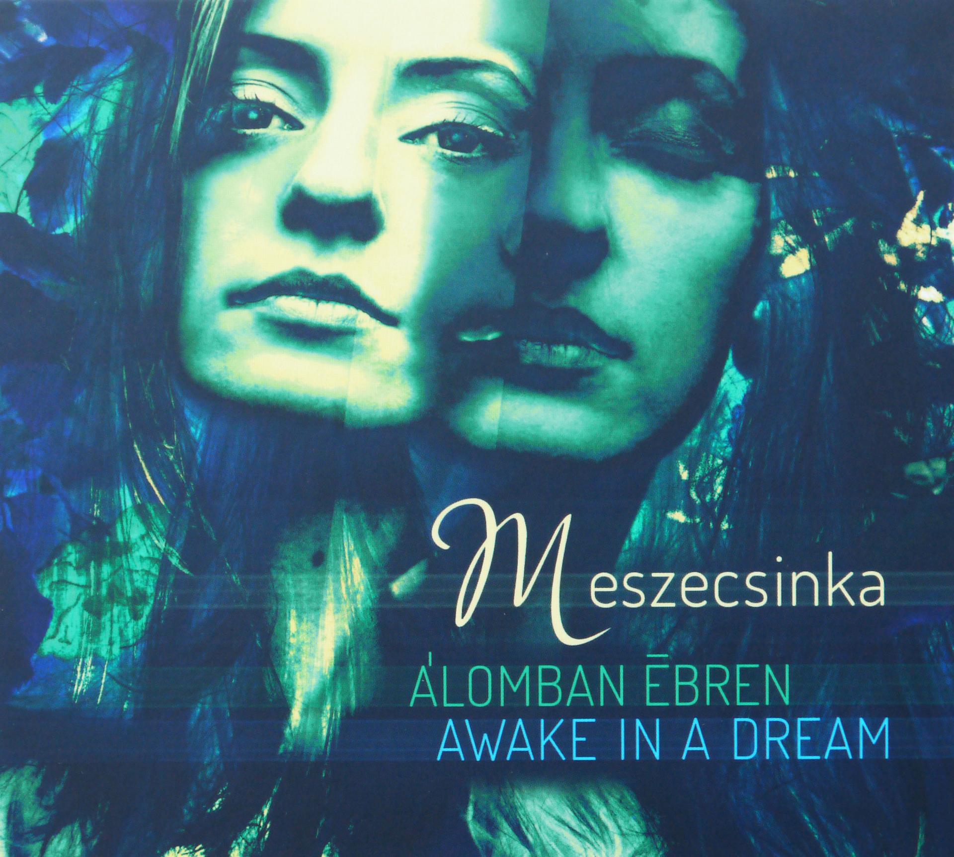 Felvétel galéria kép