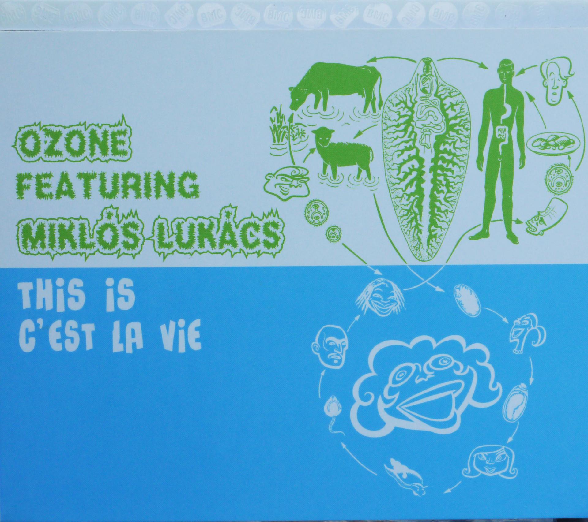 Felvétel galéria kép